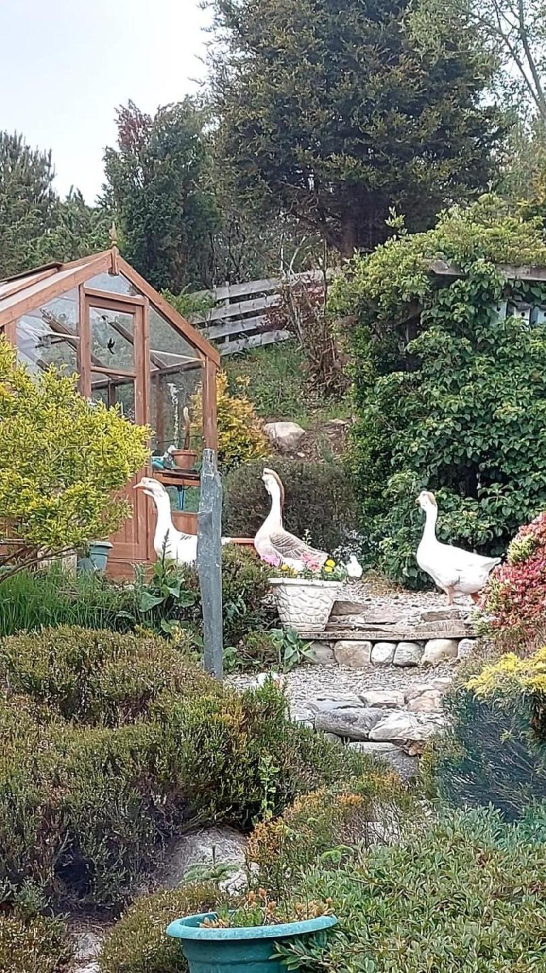 The Guest Suite At Daviot ,Inverness Exterior foto